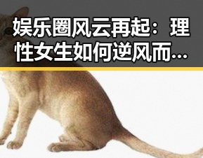 娱乐圈风云再起:理性女生如何逆风而行?