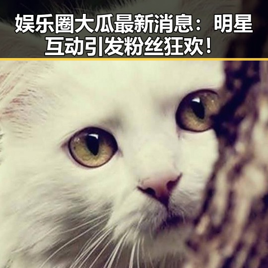 娱乐圈大瓜最新消息:明星互动引发粉丝狂欢!