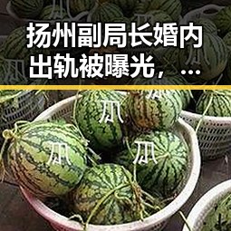 扬州副局长婚内出轨被曝光，时间线回顾引发热议