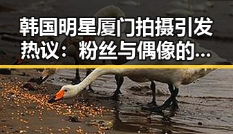 韩国明星厦门拍摄引发热议：粉丝与偶像的温暖瞬间