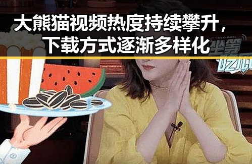 大熊猫视频热度持续攀升，下载方式逐渐多样化