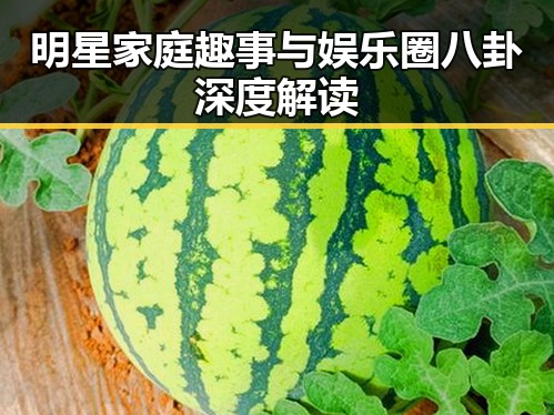 明星家庭趣事与娱乐圈八卦深度解读